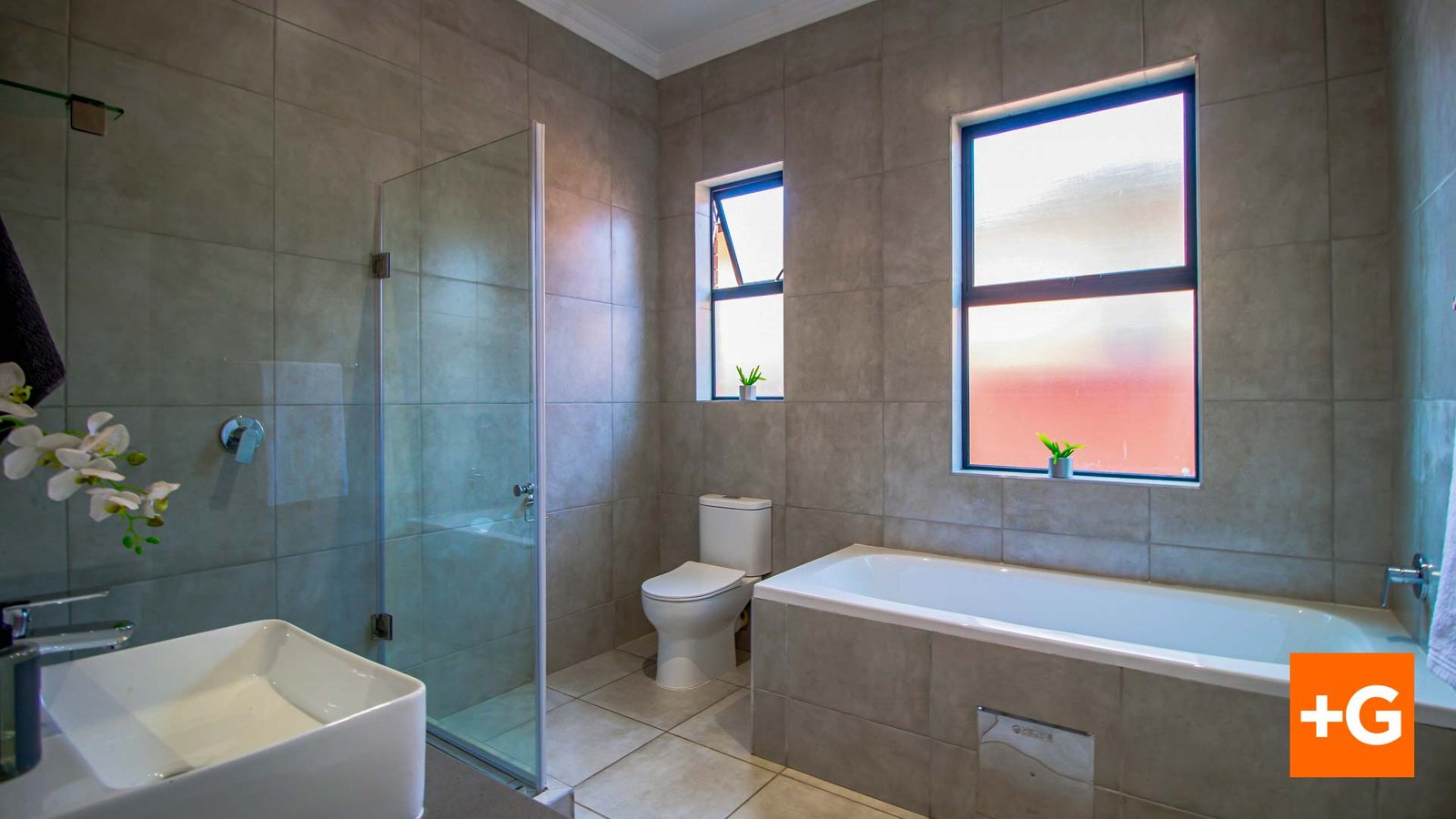 iQ-Bushwillow-CID-24